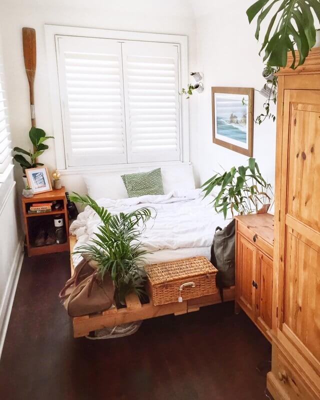Reddit user Toddunctious' bedroom with plants