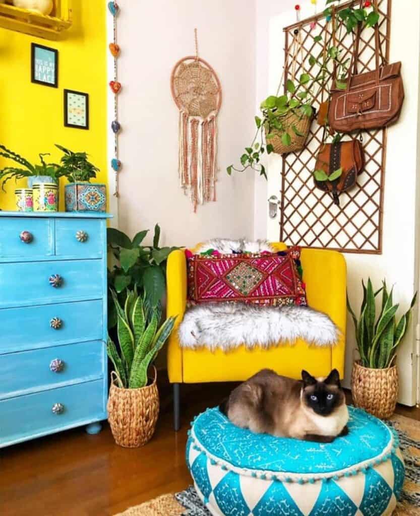 yellow wall and yellow armchair with cat