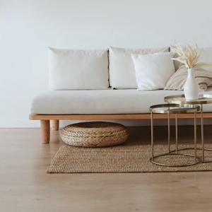 simple sofa and cushions