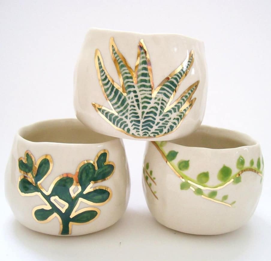 cups with plant life