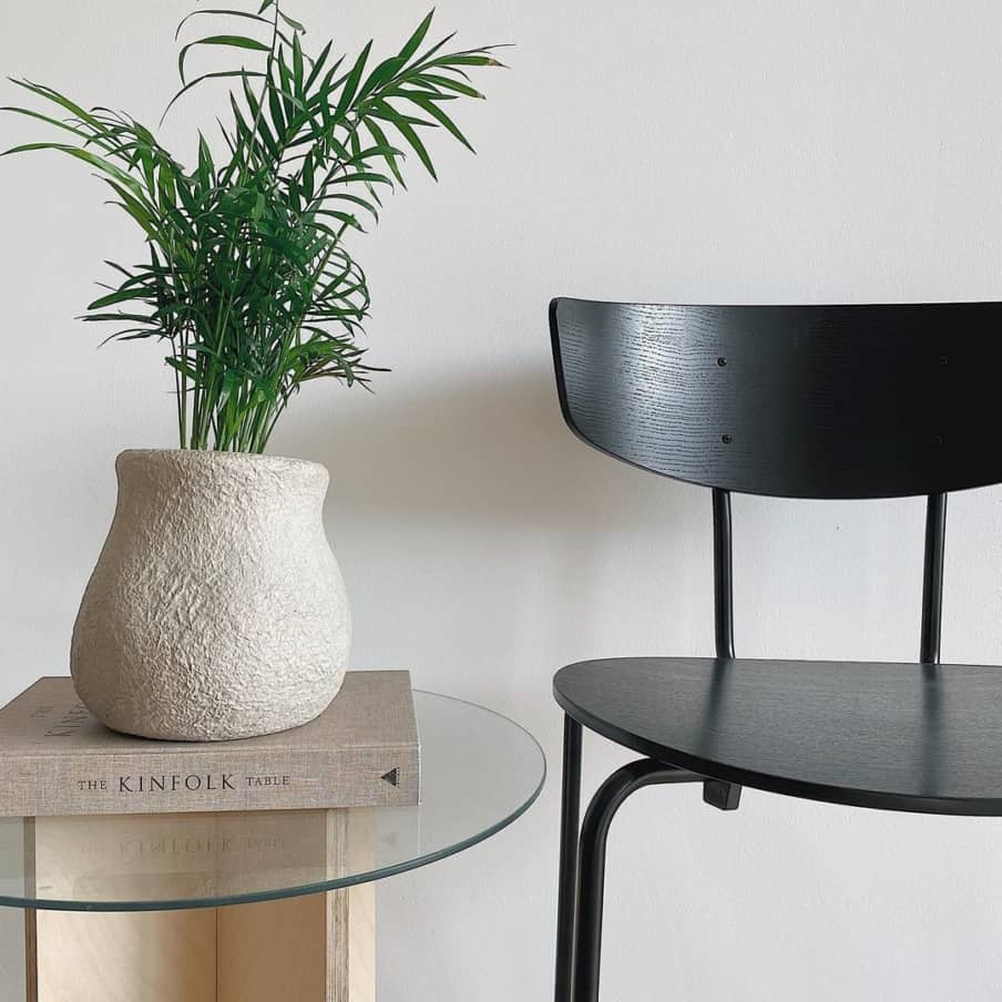 Side chair and side table with plant and book